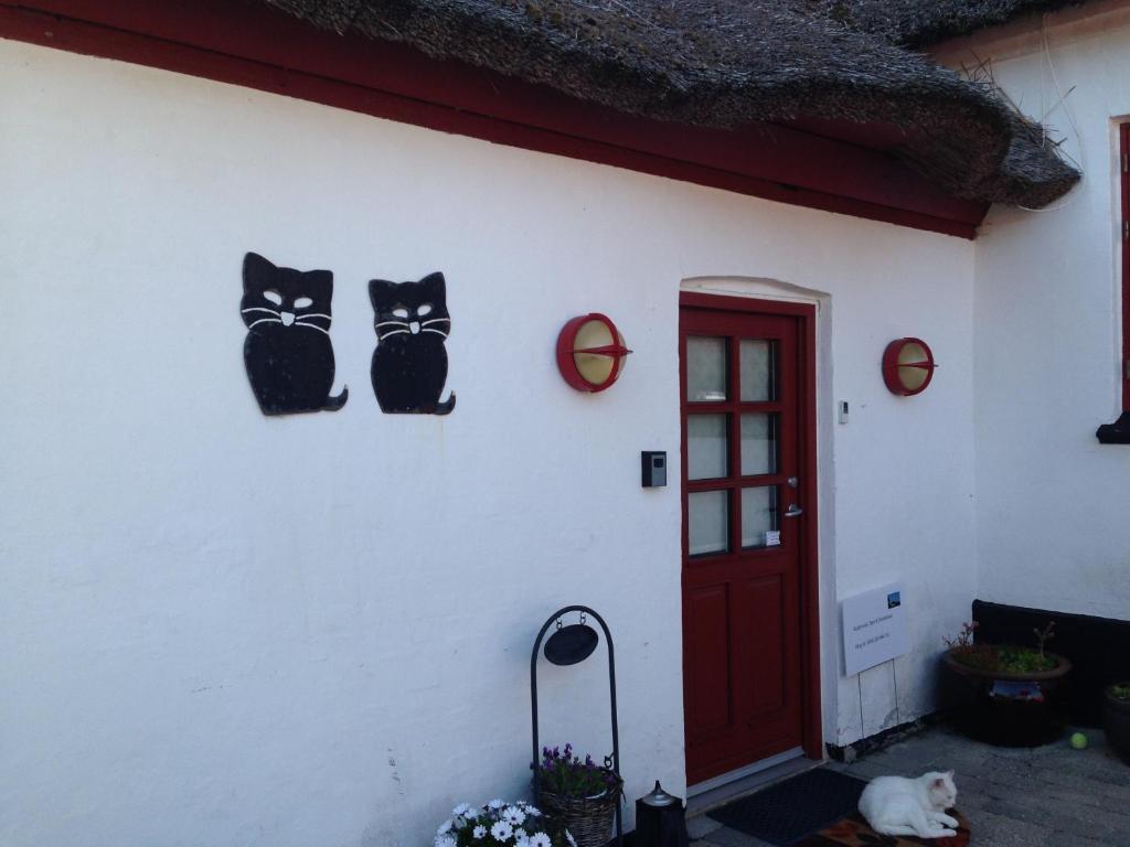 Havdrup Bulbrovejs Bed & Breakfast المظهر الخارجي الصورة